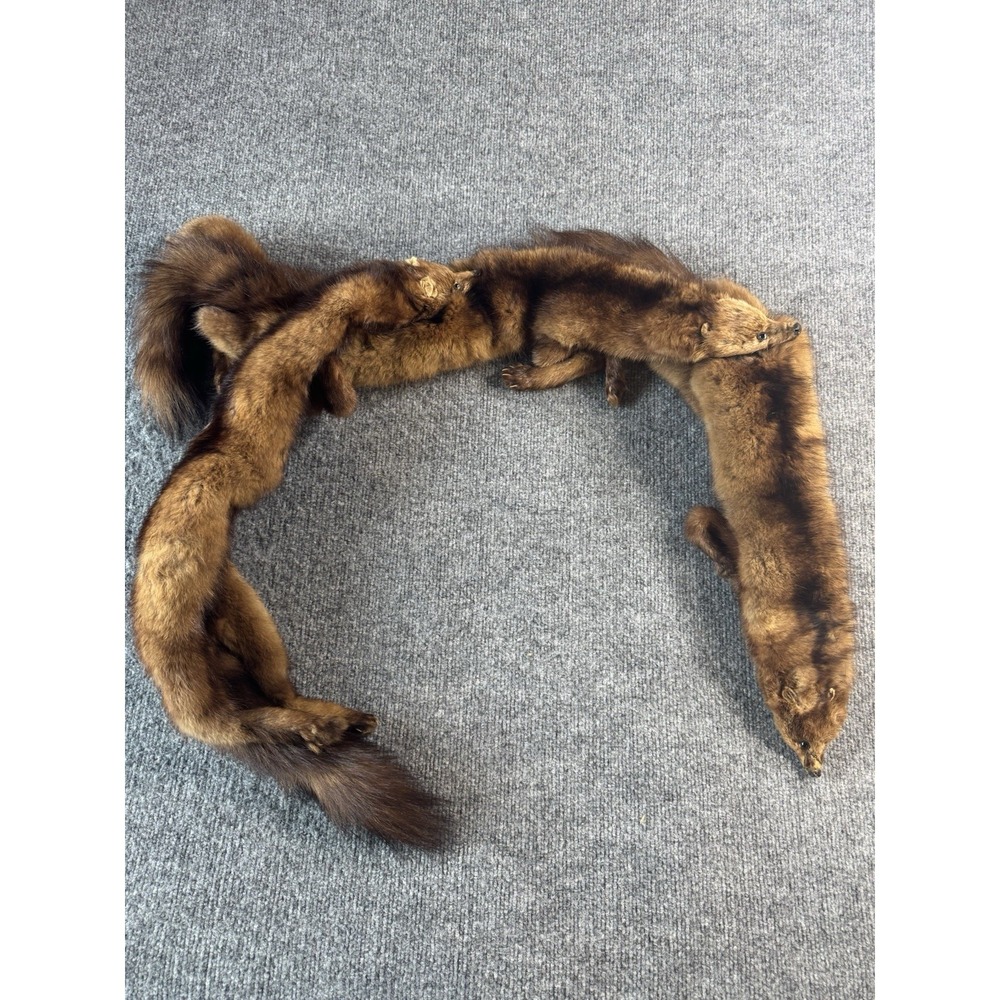 Vintage 3 Full Body Brown Real Wild Mink Fur Stole Neck wrap.